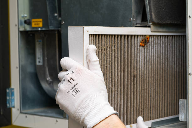Best HVAC Maintenance and Cleaning  in Zephyrhills South, FL