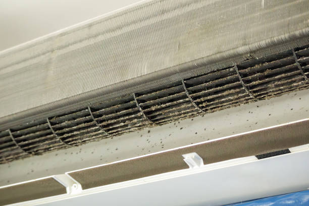 Best Air Duct Cleaning Company Near Me  in Zephyrhills South, FL
